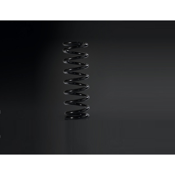 Kawasaki Optional spring for rear shock absorber